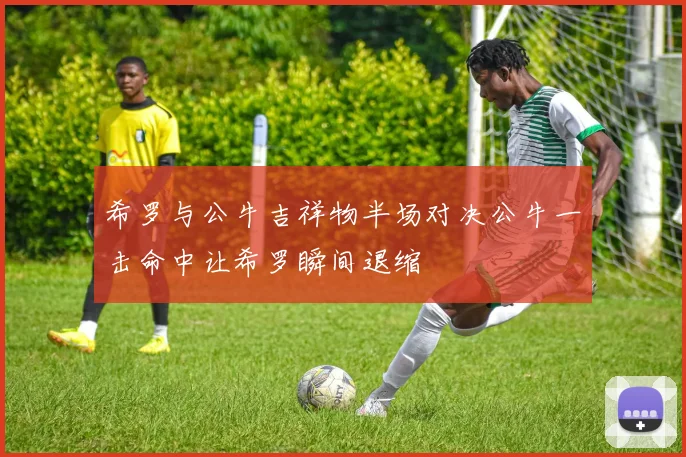 希罗与公牛吉祥物半场对决公牛一击命中让希罗瞬间退缩