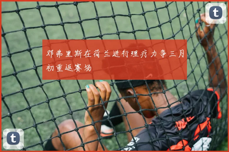邓弗里斯在荷兰进行理疗力争三月初重返赛场